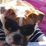 Avatar de l’utilisateur