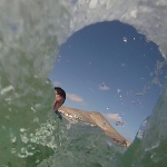 Avatar de l’utilisateur